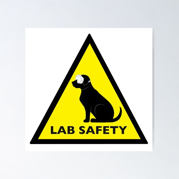 Item preview, Lab Safety Sign Black Labrador Retriever  designed and sold by gracecotton99.