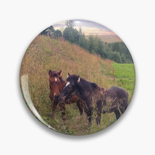Item preview, two beautiful foals designed and sold by hentaiboii.