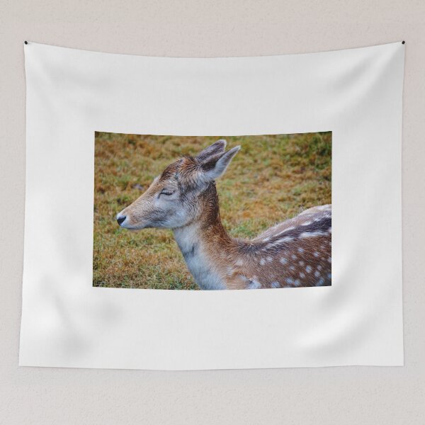 Item preview, Oh Deer designed and sold by D-GaP.