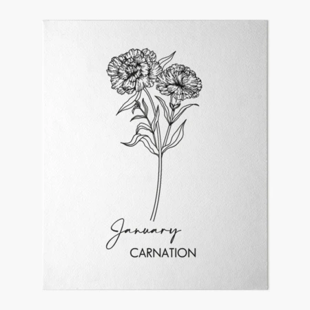 Traditional January Birth Flowers are the Carnation and the Snowdrop,  Carnation Birth Tattoo Designs Stock Vector - Illustration of doodle,  snowdrop: 284506272