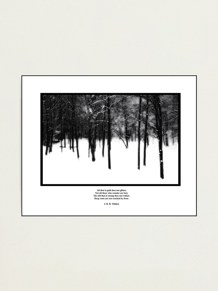 Alternate view of Deep Roots Poster, quote from Tolkein Photographic Print