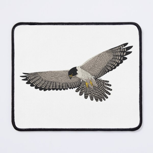 Item preview, Peregrine Falcon Flying - Male Peregrine Falcon designed and sold by EcoElsa.