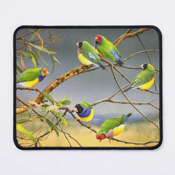 Item preview, "Lucky Seven" (Gouldian Finches) designed and sold by Frances McMahon Watercolour Bird Artist.