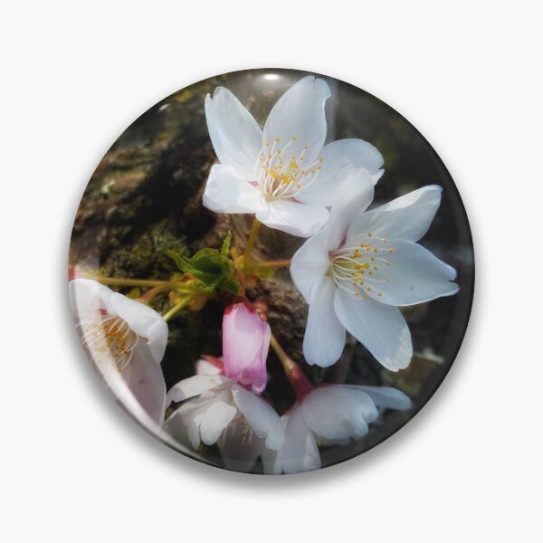Item preview, Hanami - Sakura Cherry Blossom designed and sold by NearScapes.