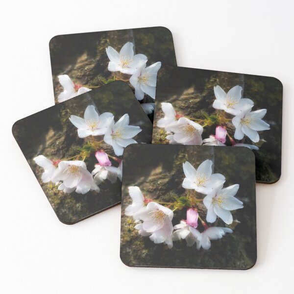 Item preview, Hanami - Sakura Cherry Blossom designed and sold by NearScapes.