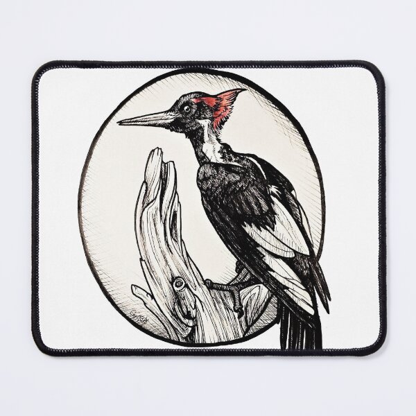 Item preview, Ivory Billed Woodpecker designed and sold by gnarlyBones.