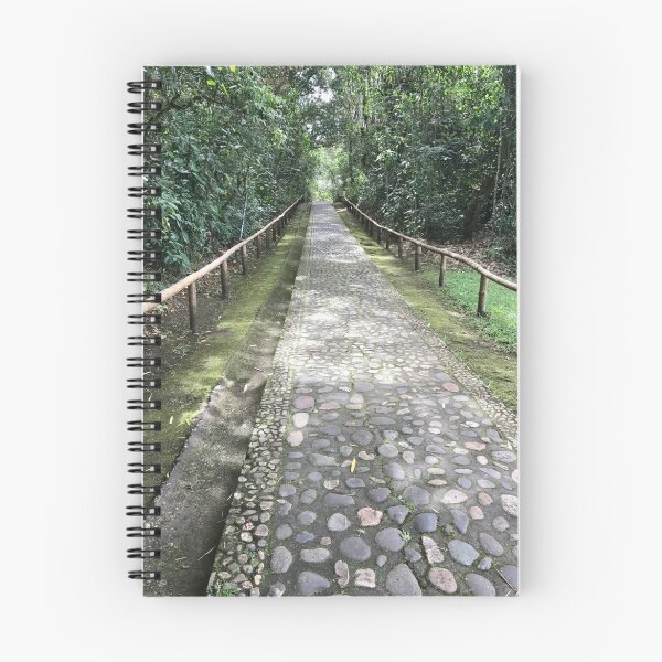 Item preview, Colombia - San Agustin - Walking Path at El Parque Arqueológico designed and sold by renprovo.