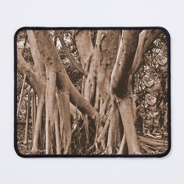 Item preview,  Rainforest Pattern designed and sold by Margaret Stevens.