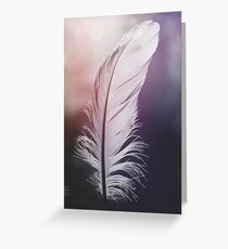 Feather in Pastel Tones Greeting Card