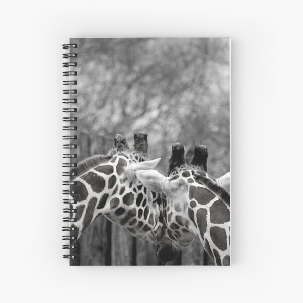 Foto de jirafa en blanco y negro Cuaderno de espiral