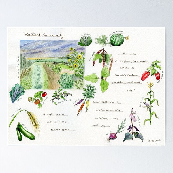 Item preview, Field Guide to Climate Resilience: Resilient Community designed and sold by Keygan Sands.