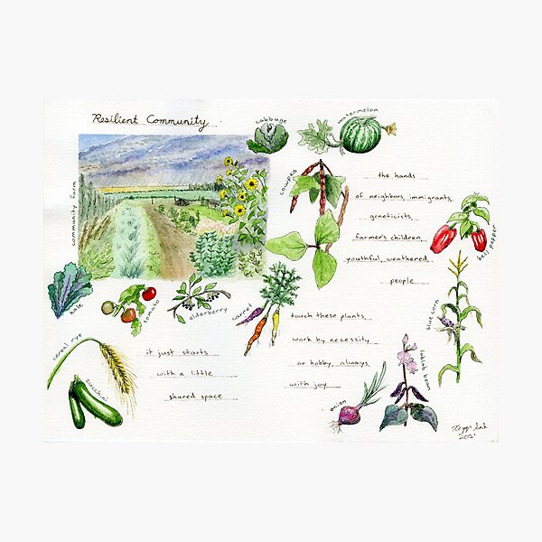 Item preview, Field Guide to Climate Resilience: Resilient Community designed and sold by Keygan Sands.