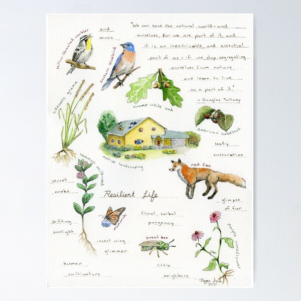 Item preview, Field Guide to Climate Resilience: Resilient Life designed and sold by Keygan Sands.