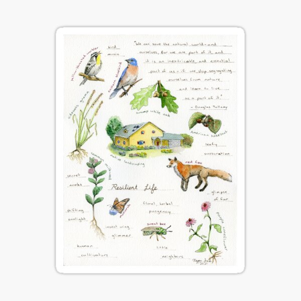 Item preview, Field Guide to Climate Resilience: Resilient Life designed and sold by Keygan Sands.