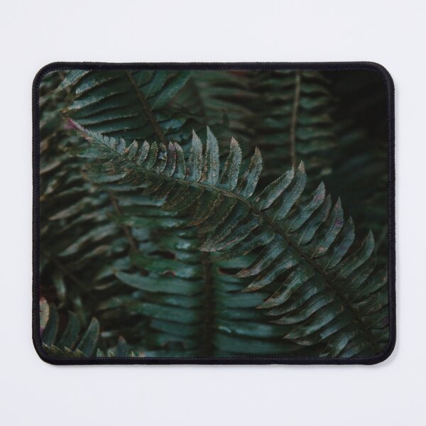 Item preview, Pacific Northwest Ferns designed and sold by JLPhotographer.
