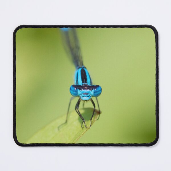 Item preview, Damselfly Blues designed and sold by dlamb.