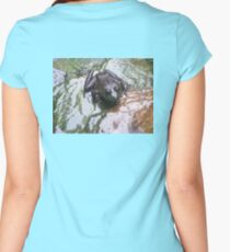 frogger Women's Fitted Scoop T-Shirt