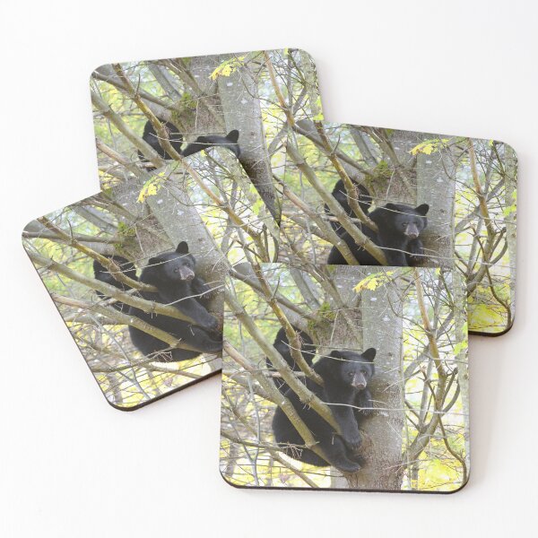 Item preview, Cubs In A Tree designed and sold by mlorenz.