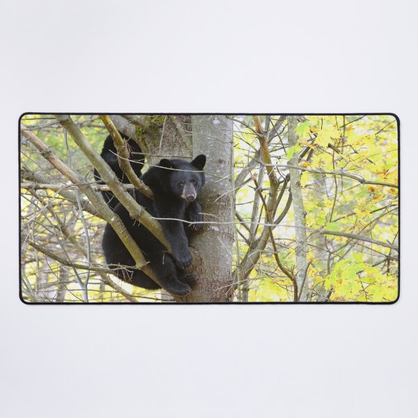 Item preview, Cubs In A Tree designed and sold by mlorenz.