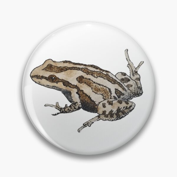 Item preview, Midwest Wildlife: Western Chorus Frog designed and sold by Keygan Sands.