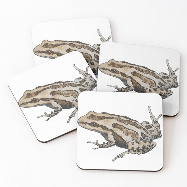 Item preview, Midwest Wildlife: Western Chorus Frog designed and sold by Keygan Sands.