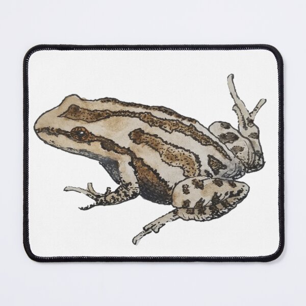 Item preview, Midwest Wildlife: Western Chorus Frog designed and sold by Keygan Sands.