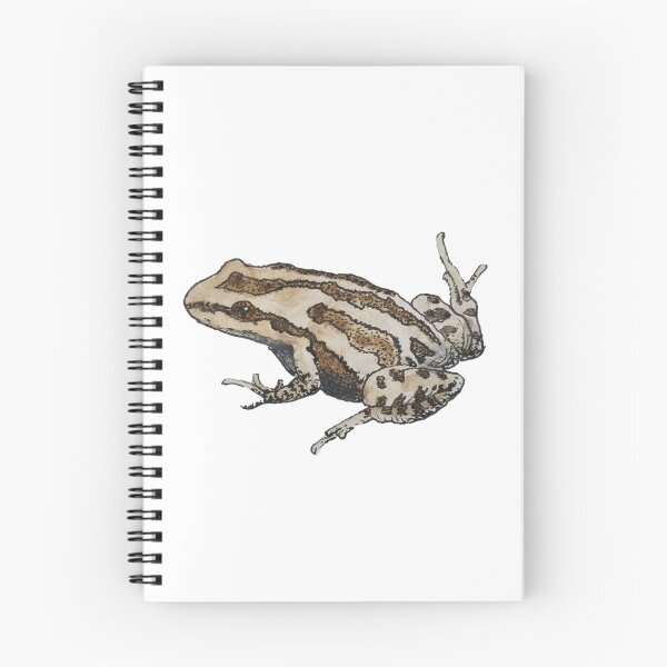 Item preview, Midwest Wildlife: Western Chorus Frog designed and sold by Keygan Sands.