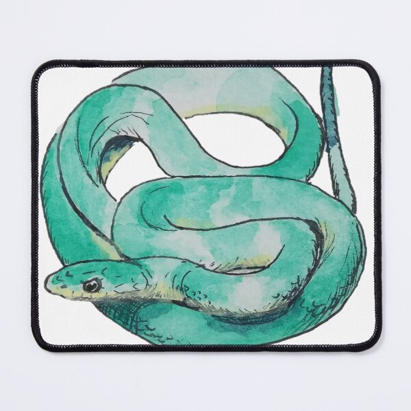 Item preview, Midwest Wildlife: Smooth Green Snake designed and sold by Keygan Sands.
