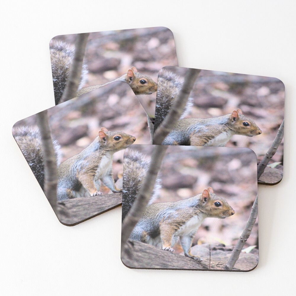 Item preview, Coasters (Set of 4) designed and sold by BOLLA67.