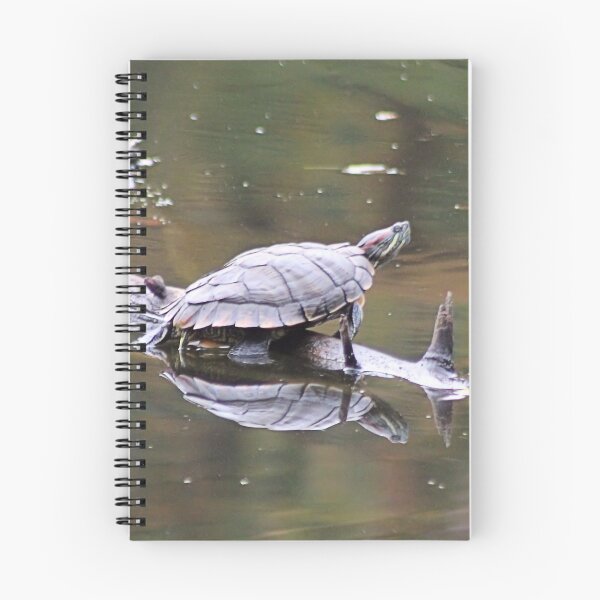 Item preview, REFLECTED TURTLE designed and sold by BOLLA67.