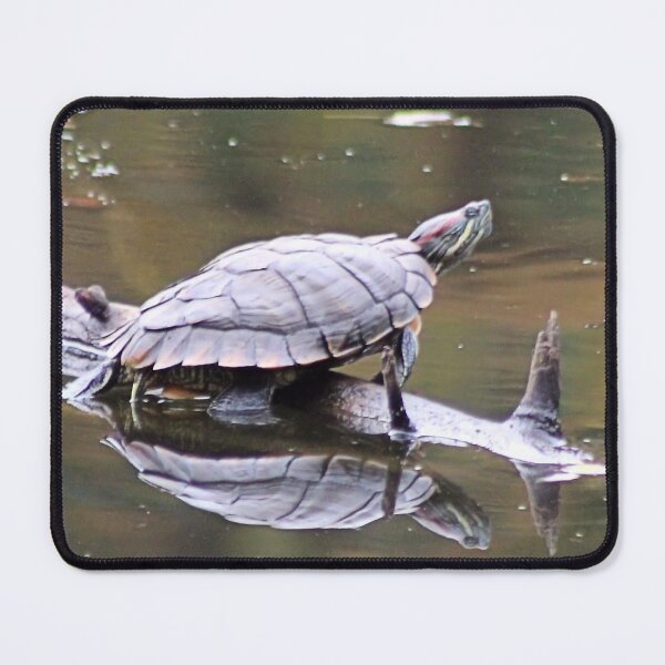 Item preview, REFLECTED TURTLE designed and sold by BOLLA67.