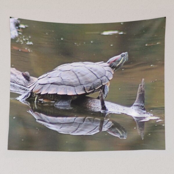 Item preview, REFLECTED TURTLE designed and sold by BOLLA67.
