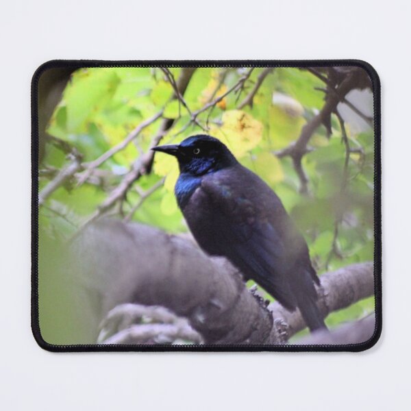 Item preview, HIDDEN GEM designed and sold by BOLLA67.