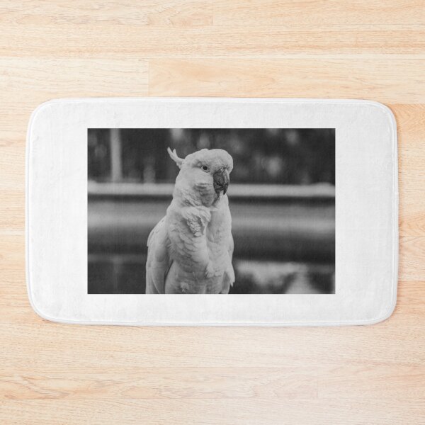 Item preview, Black and White Cockatoo designed and sold by cstieler.