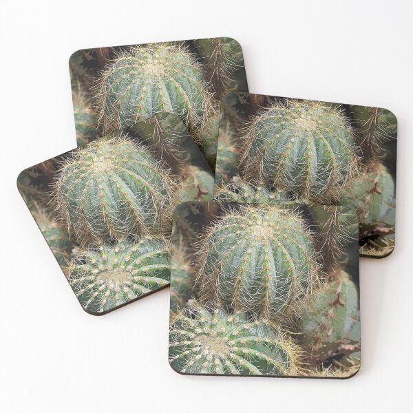 Item preview, Cactus Cluster designed and sold by Siene Browne.