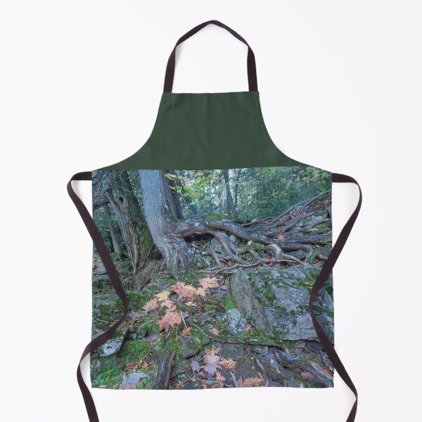 Item preview, Holding on - Cedar on a cliff over the Black River in Michigan designed and sold by TheCurators.