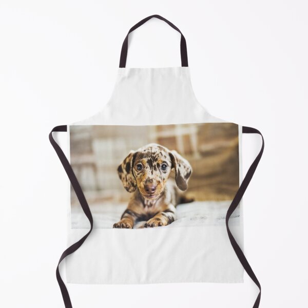 Aperçu de l'œuvre Chiot Teckel MERLE créée et vendue par CricciethPrint.