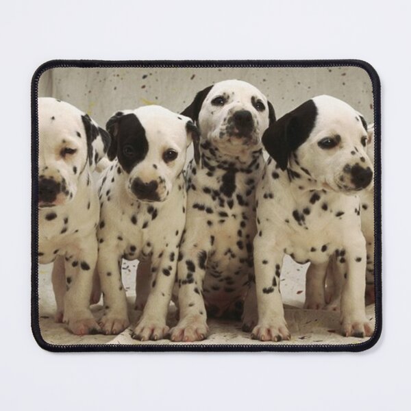 Item preview, DALMATION PUPPIES designed and sold by CricciethPrint.