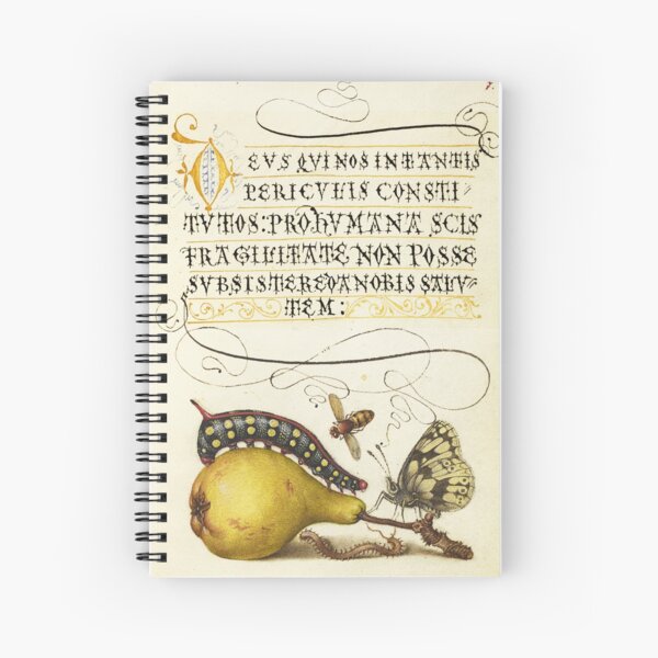 Item preview, Naturalist Manuscript Illumination: Fly, Caterpillar, Pear, and Centipede by Joris Hoefnagel  designed and sold by Naturalist Prints.