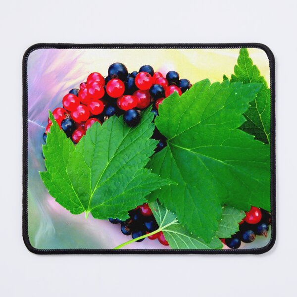 Item preview, Red and black currants designed and sold by angel1.