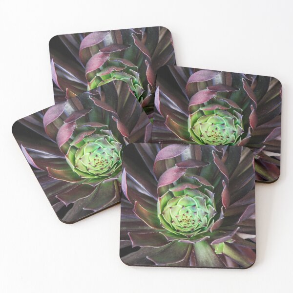 Item preview, Sedum Succulent  designed and sold by heatherfriedman.