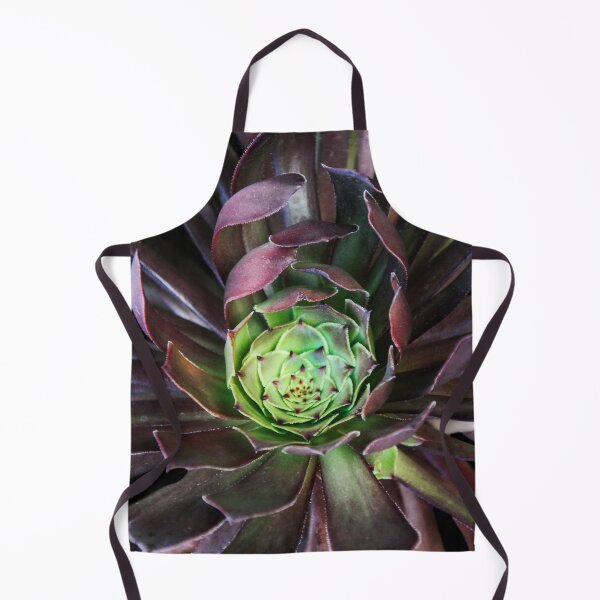 Item preview, Sedum Succulent designed and sold by heatherfriedman.
