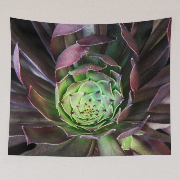 Item preview, Sedum Succulent  designed and sold by heatherfriedman.