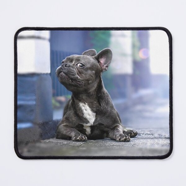 Item preview, CUTE FRENCHIE SIDE LOOK designed and sold by CricciethPrint.