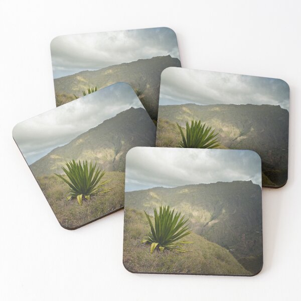 Item preview, Agave King designed and sold by Damien-S.