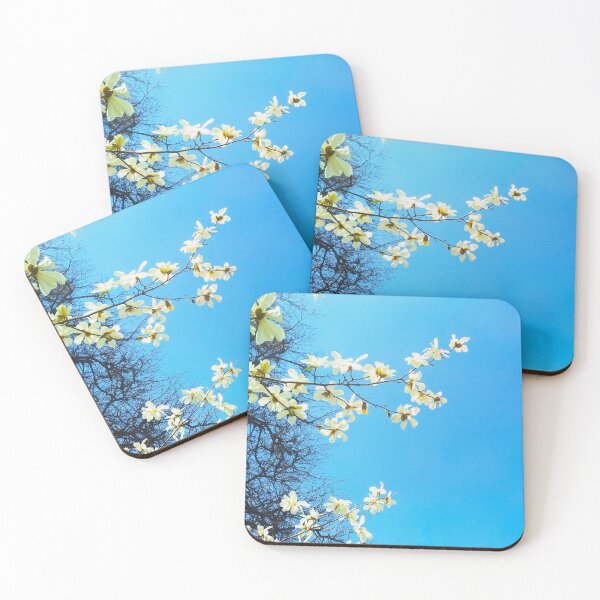 Item preview, White magnolia tree in blossom, spring season, natural background  designed and sold by helenkaiy.