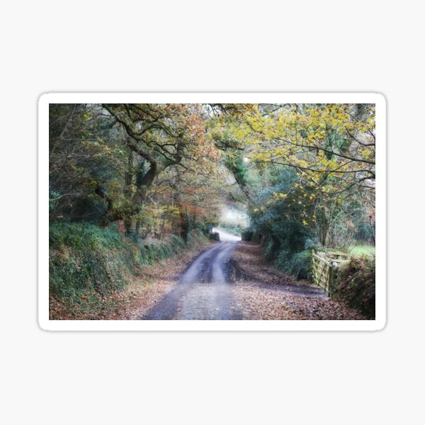 A CORNISH LANE IN AUTUMN Sticker