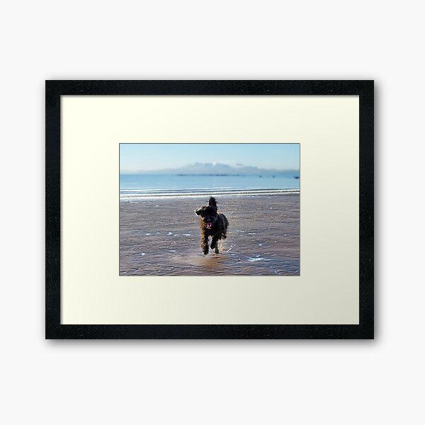 Quincey Framed Art Print