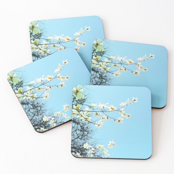 Item preview, White magnolia tree in blossom, spring season, natural background  designed and sold by helenkaiy.