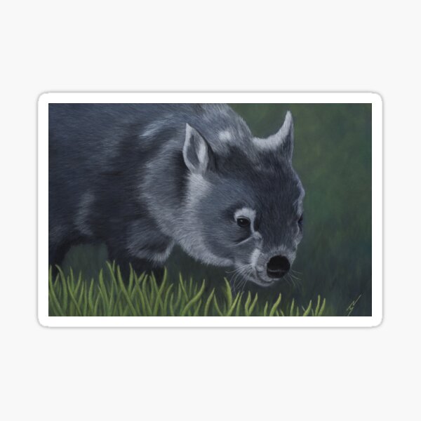 Sooty the Common Wombat Sticker